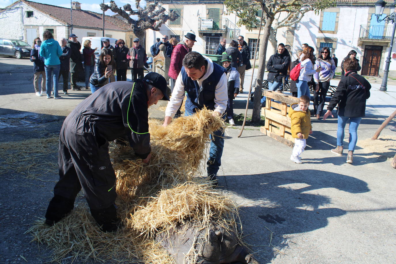 La matanza de Gallegos de Solmirón crece año tras año