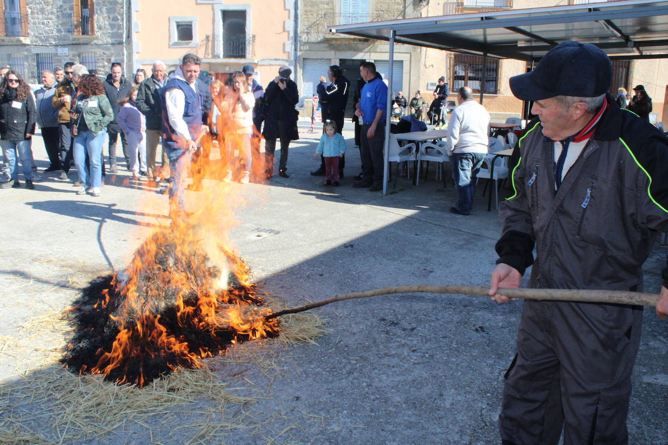 La matanza de Gallegos de Solmirón crece año tras año