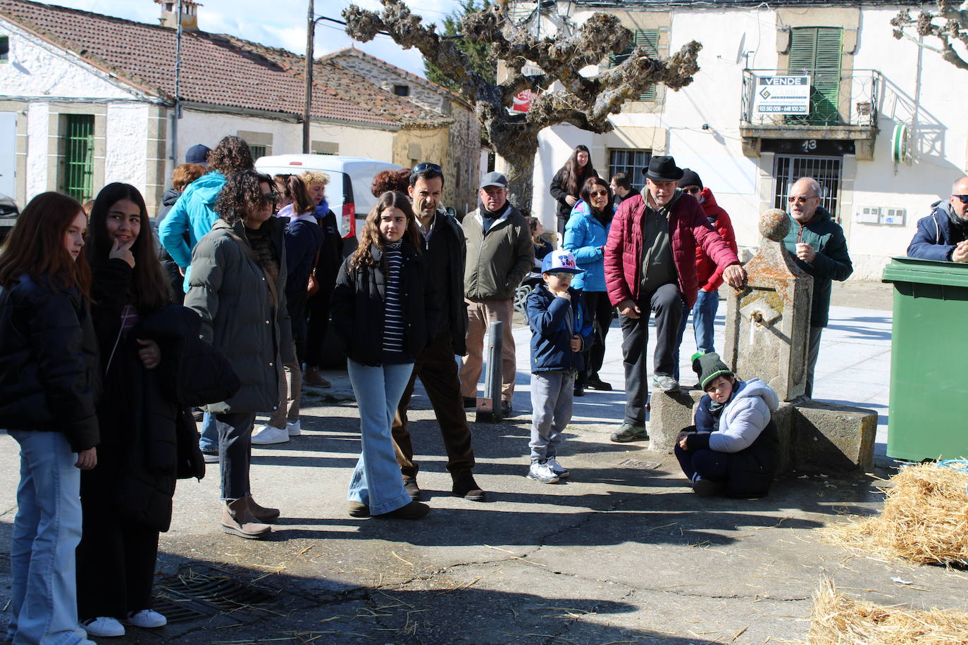 La matanza de Gallegos de Solmirón crece año tras año