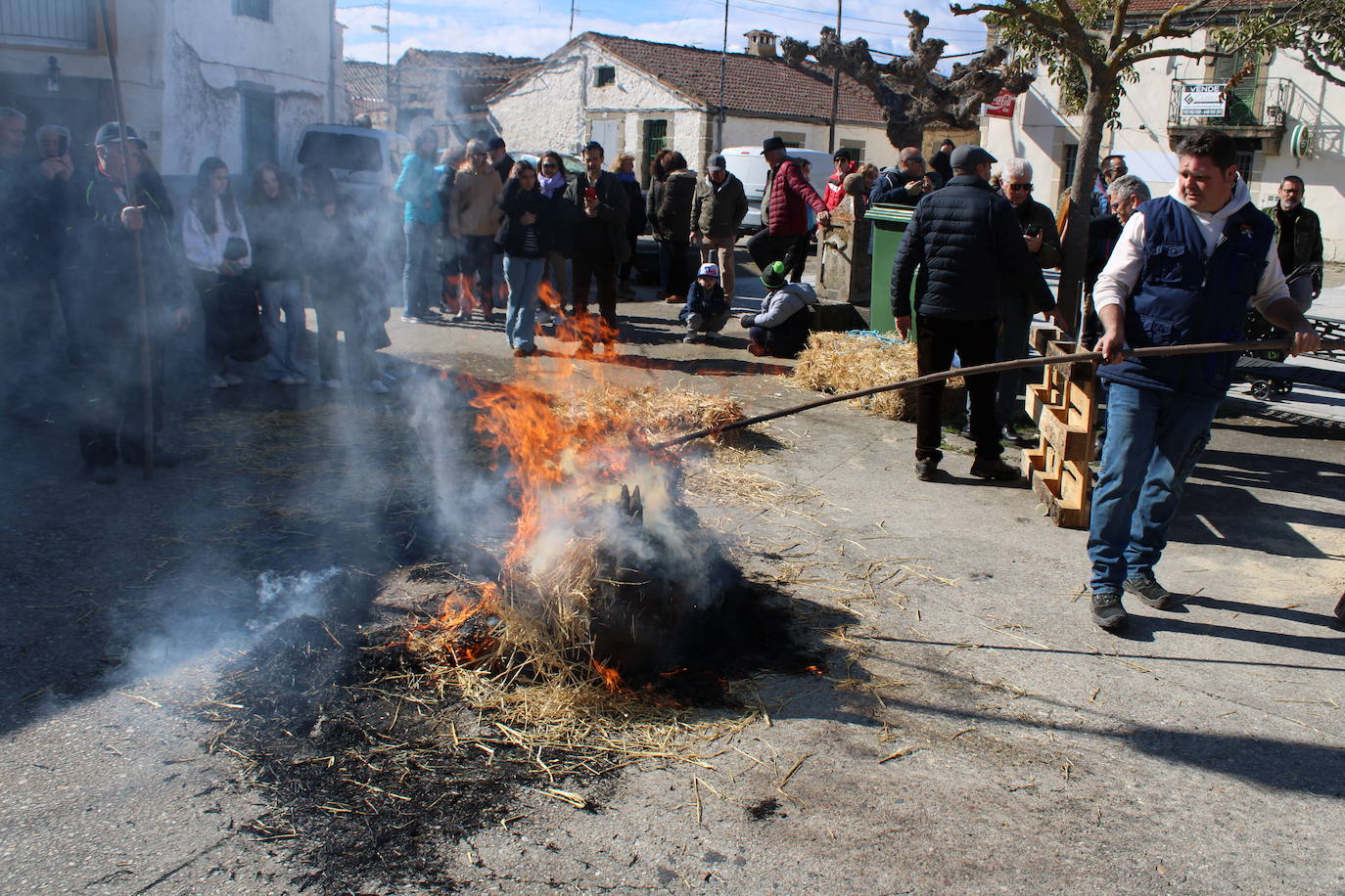 La matanza de Gallegos de Solmirón crece año tras año