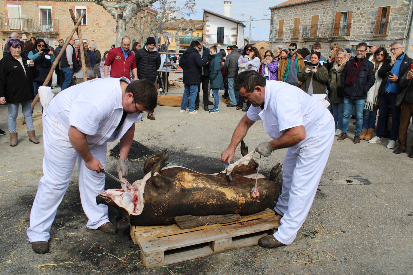 La matanza de Gallegos de Solmirón crece año tras año