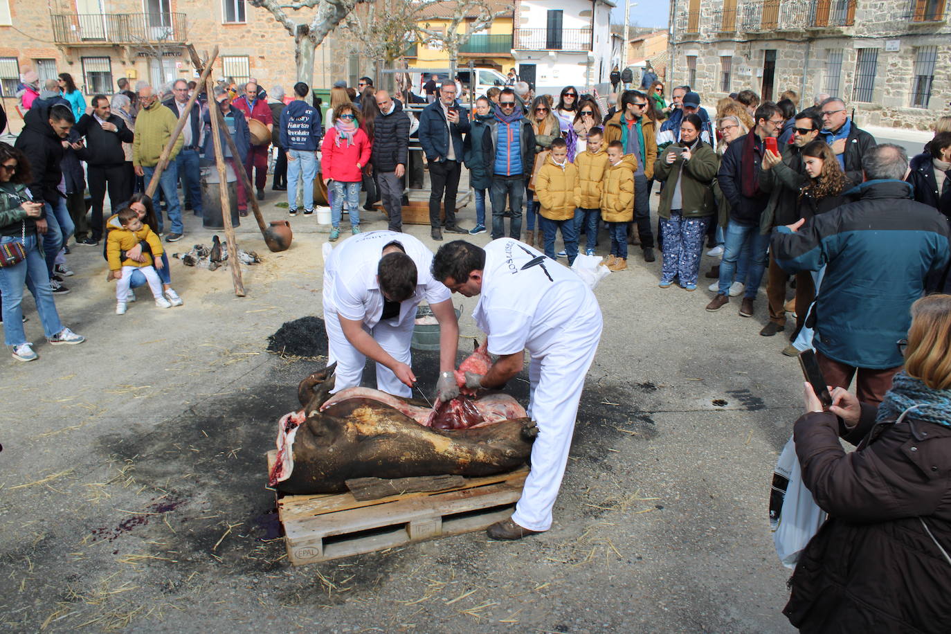 La matanza de Gallegos de Solmirón crece año tras año