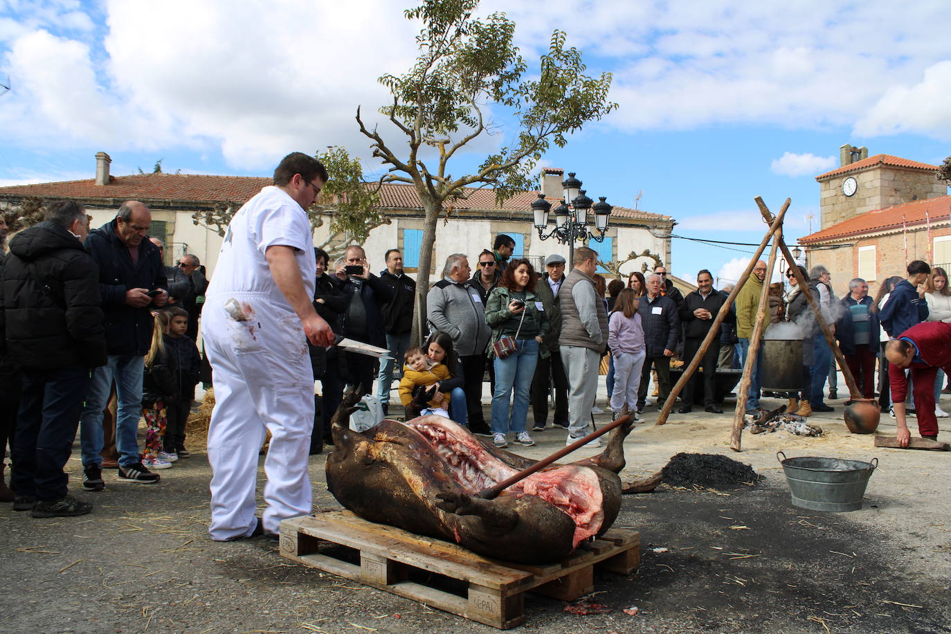 La matanza de Gallegos de Solmirón crece año tras año