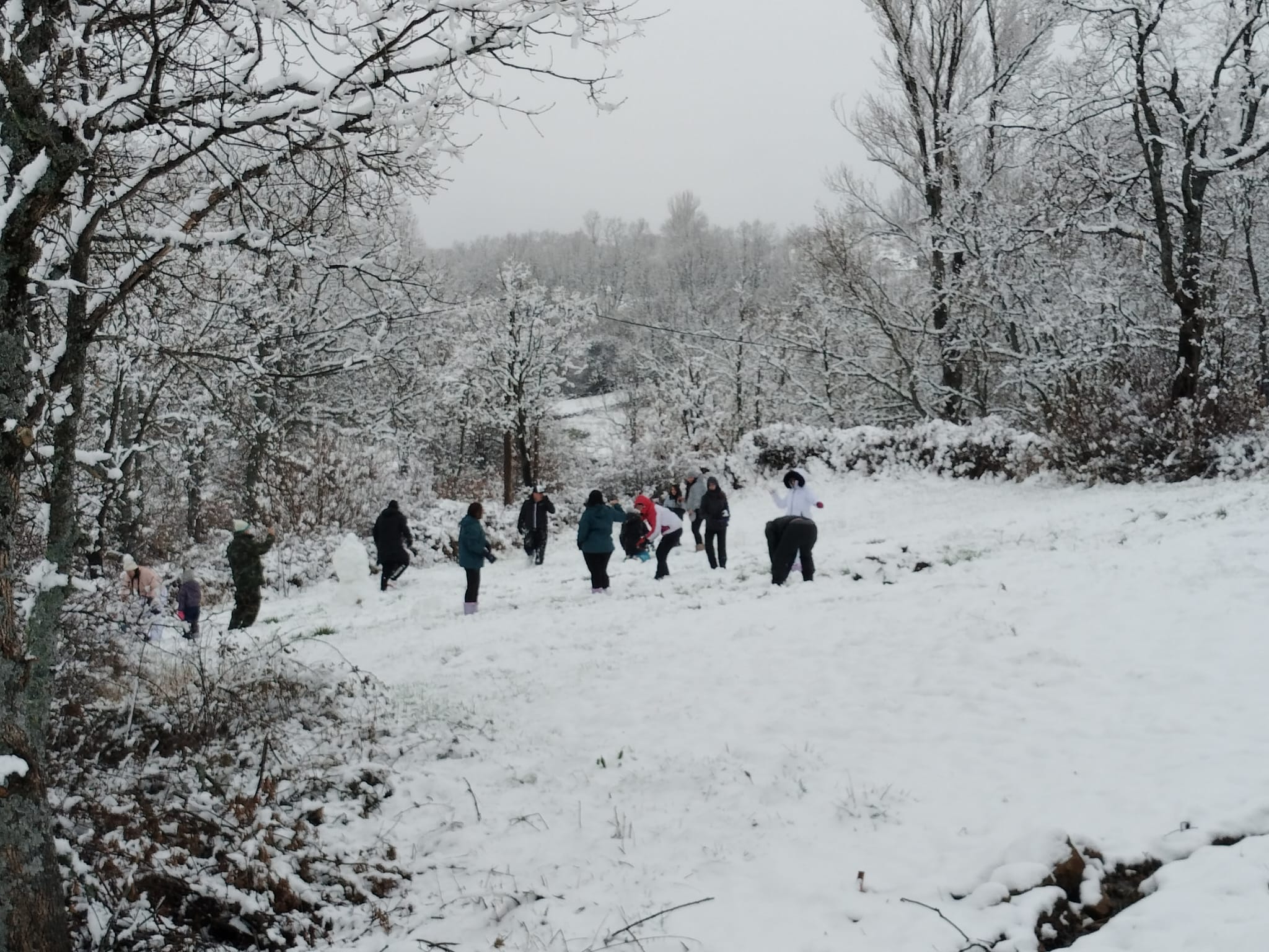 La nieve, protagonista en las carreteras de la provincia