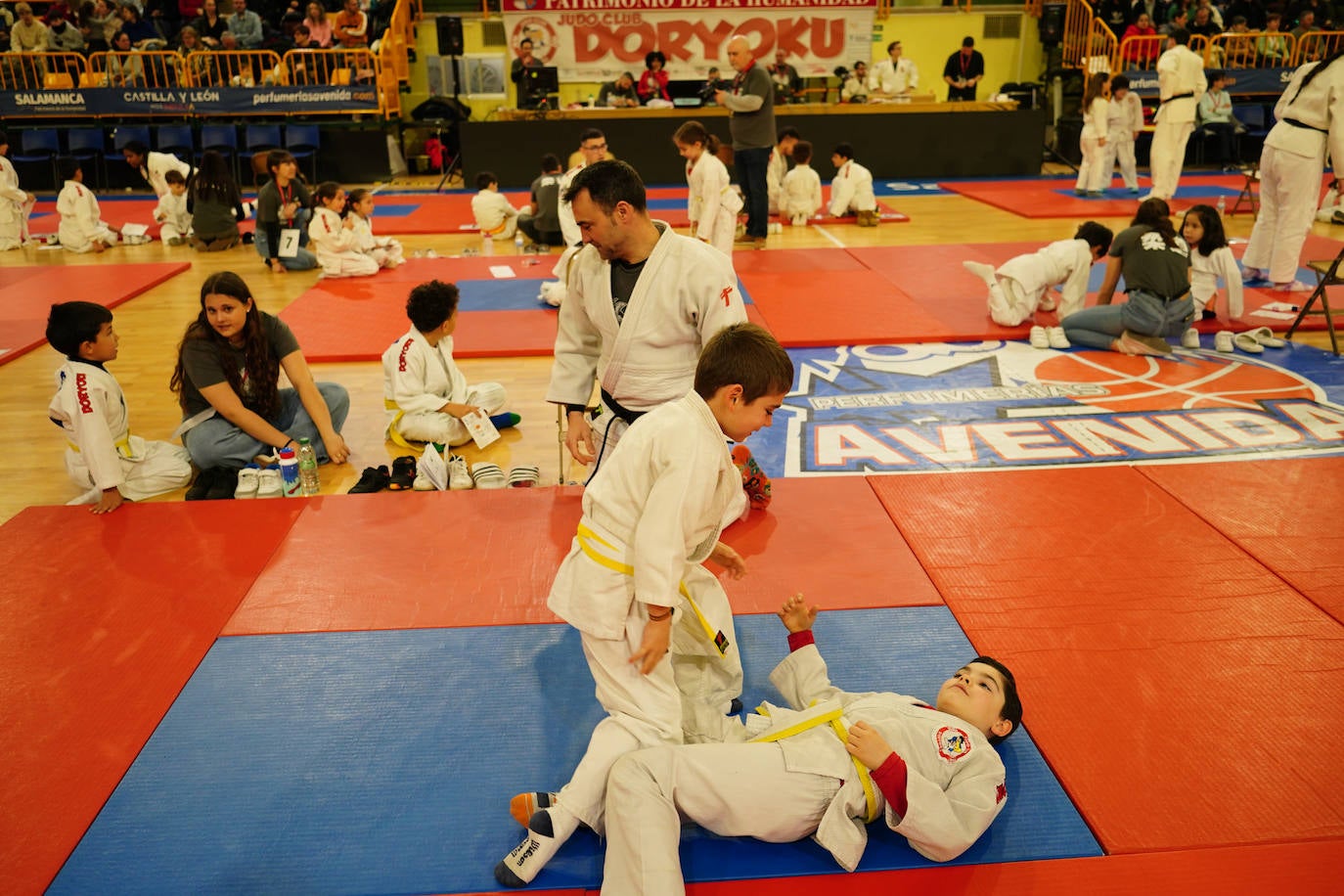 El Campeonato Doryoku vuelve a llenar Würzburg de jóvenes judokas