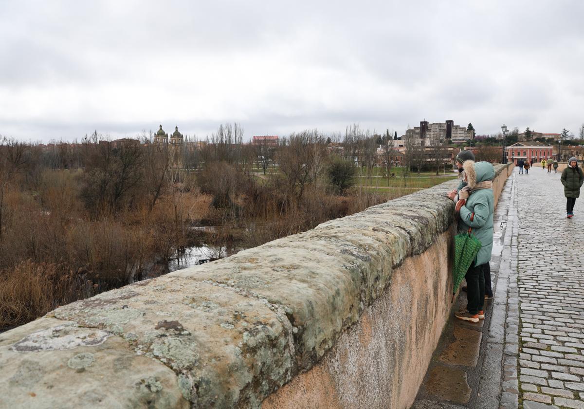 Varias personas contemplan el Tormes desde el Puente Romano.