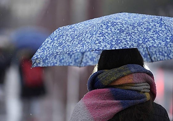 Una persona se protege de la lluvia con un paraguas.
