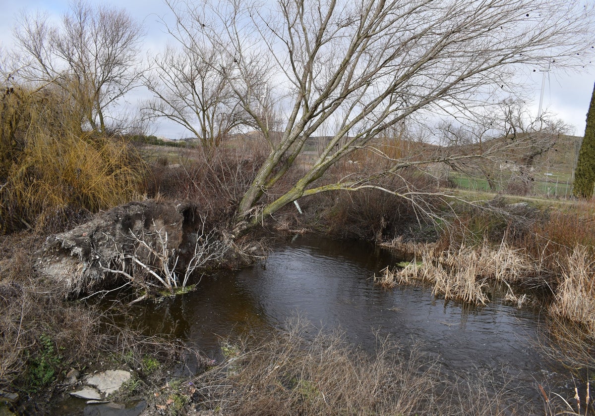 Estado actual del río Gamo a su paso por Garcihernández.