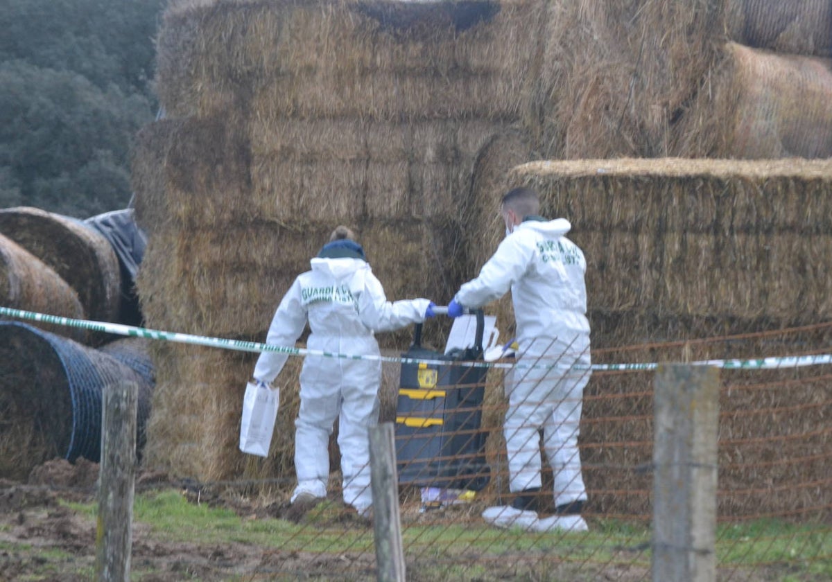 Agentes de la Guardia Civil inspeccionan el lugar donde apareció el cadáver.