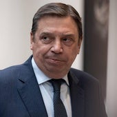 El ministro de Agricultura, Pesca y Alimentación, Luis Planas.