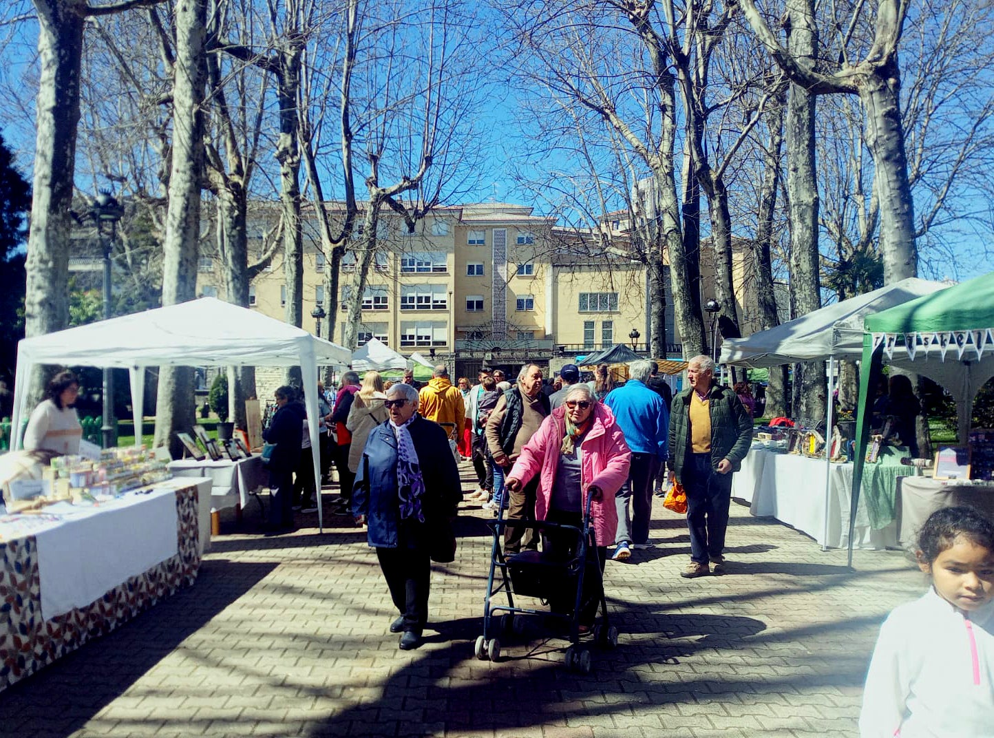 El buen tiempo anima el regreso de los mercados de antigüedades en el parque municipal de Béjar