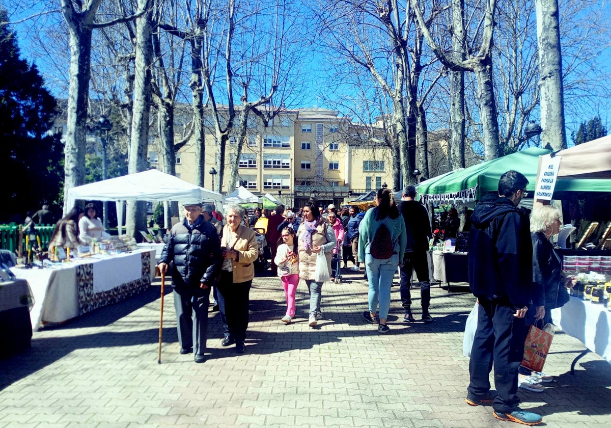 El buen tiempo anima el regreso de los mercados de antigüedades en el parque municipal de Béjar