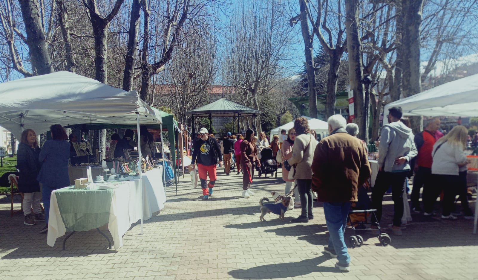 El buen tiempo anima el regreso de los mercados de antigüedades en el parque municipal de Béjar