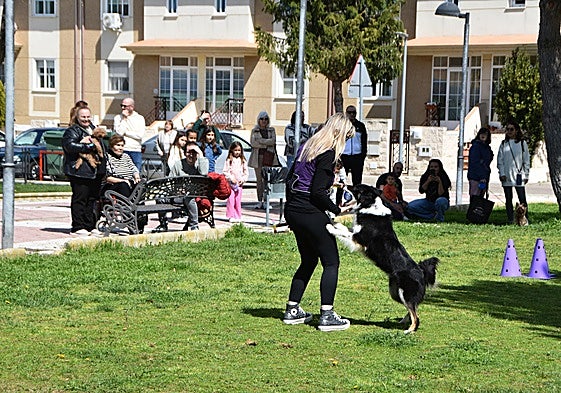 La adiestradora María José García durante la exhibición con perros