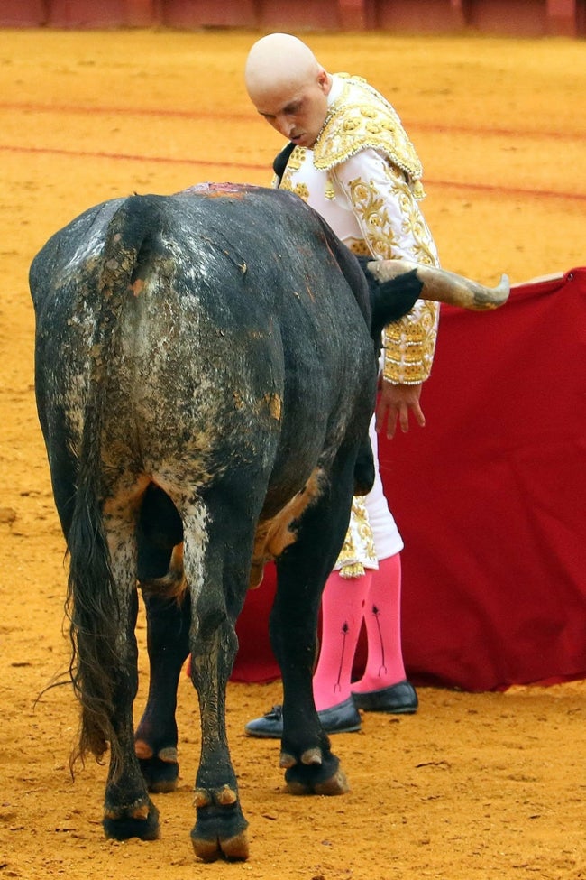 Desplante de Javier Castaño, ante uno de los toros de Miura que lidió en La Maestranza.