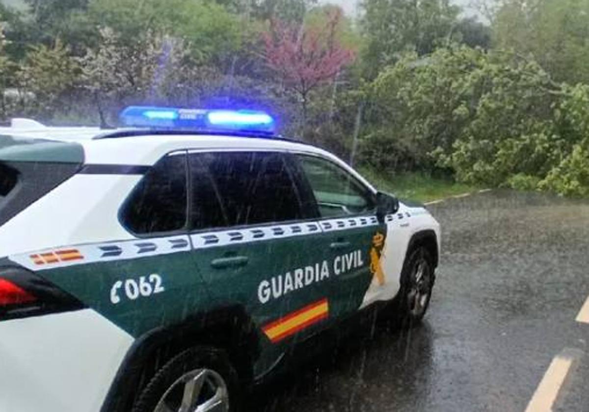 Un árbol de grandes dimensiones cae sobre la carretera DSA-260 en La Alberca y obliga a desviar el tráfico