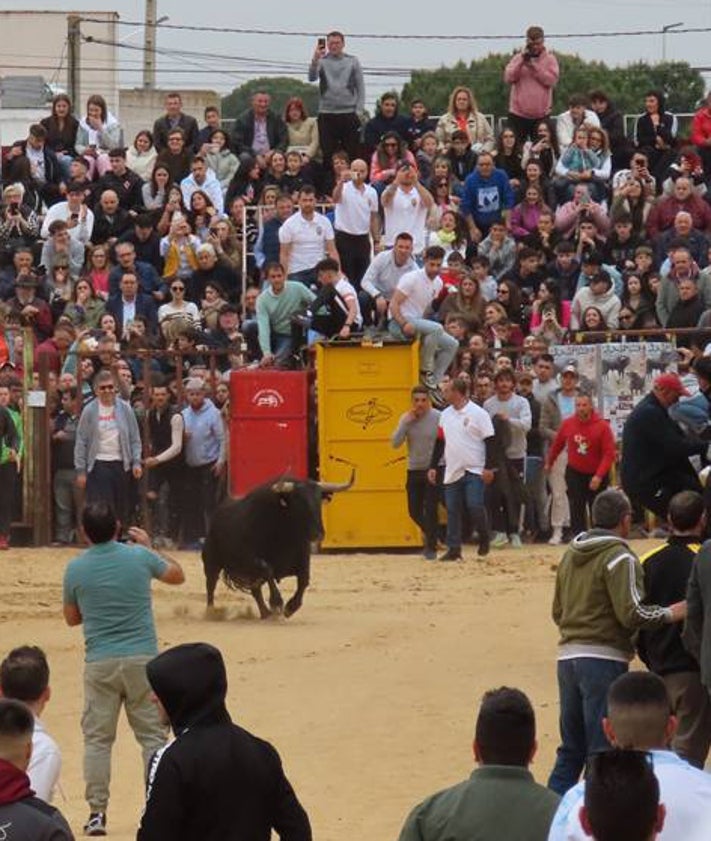 Imagen secundaria 2 - Citas taurinas con aire primaveral