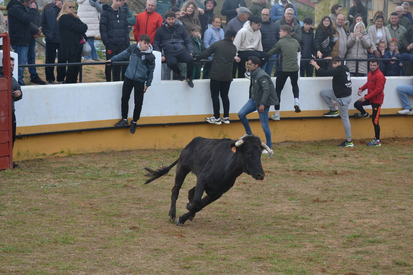 Fuentes de Oñoro celebra el Día del Hornazo