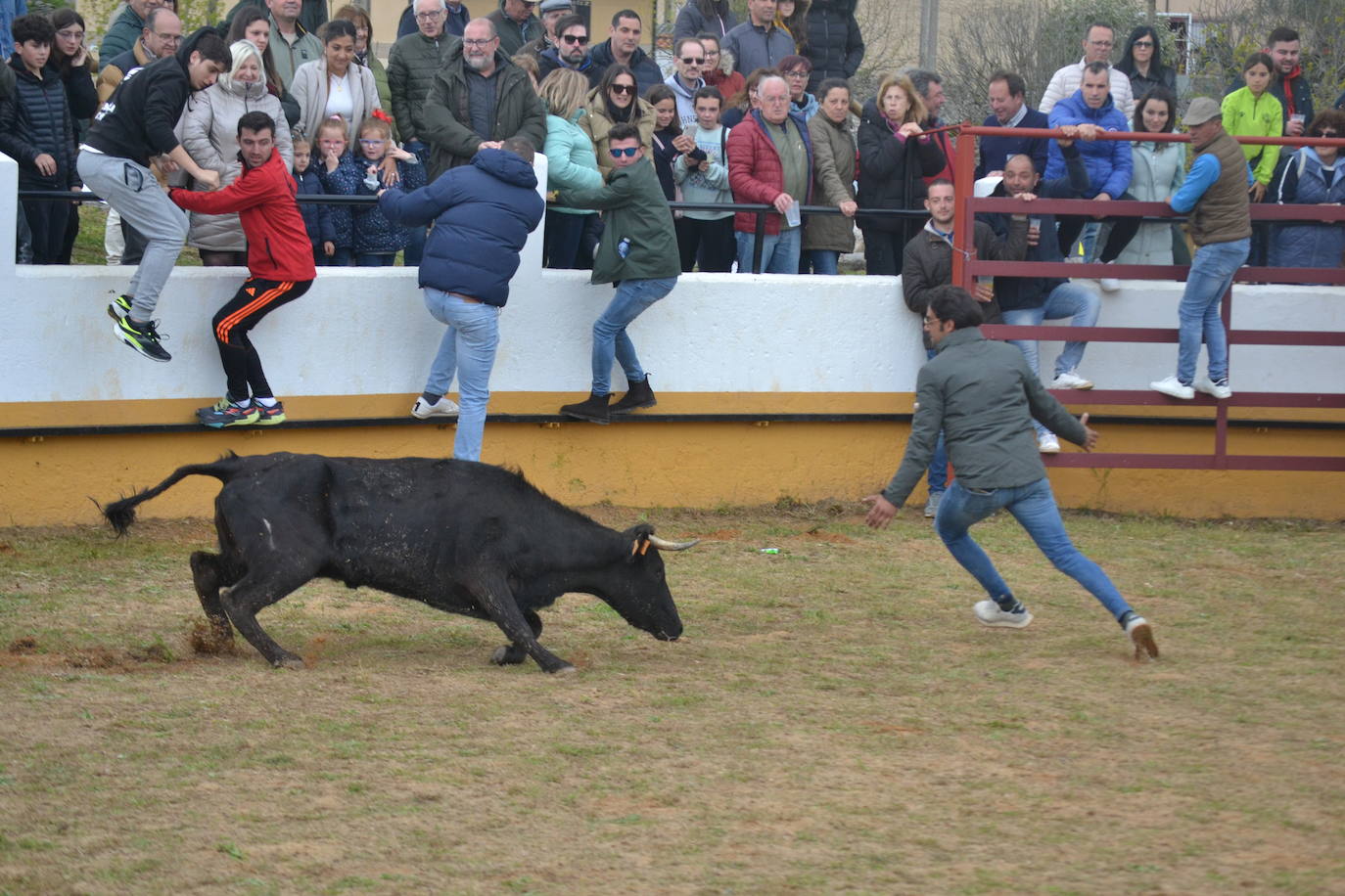 Fuentes de Oñoro celebra el Día del Hornazo