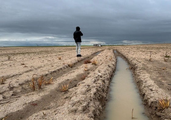 Una de las parcelas con exceso de agua.