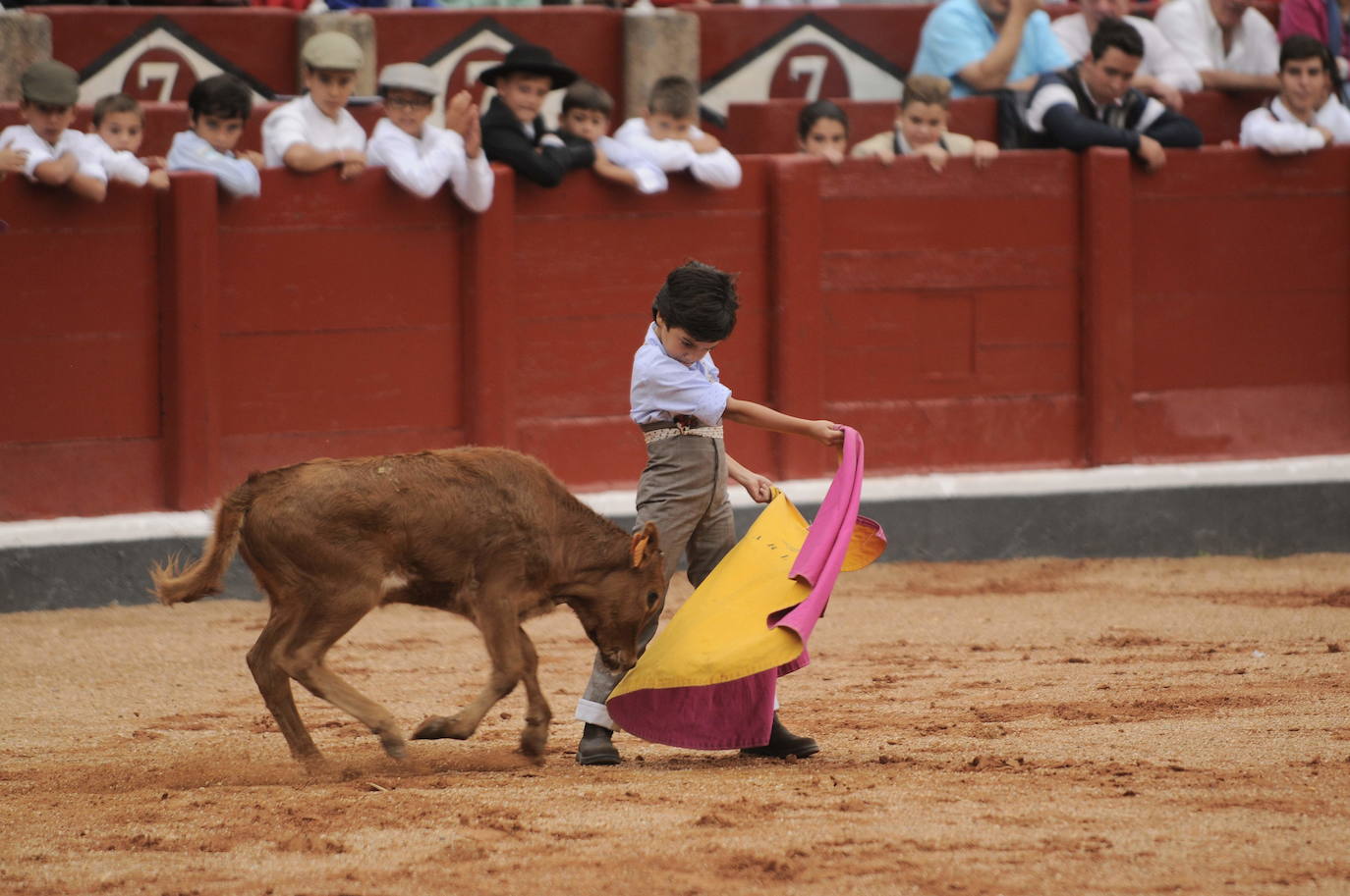 En la Feria Taurina de 2015, Marco Pérez volvió a participar en la exhibición de la Escuela Taurina con 7 años, donde «provocó una verdadera revolución, por sus formas, por su desparpajo, por su torería y por su sorprendente facilidad para interpretar el toreo de una manera maravillosa» en palabras de Javier Lorenzo.