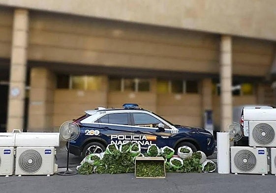 Plantas y efectos intervenidos en la operación en Santa Marta de Tormes.