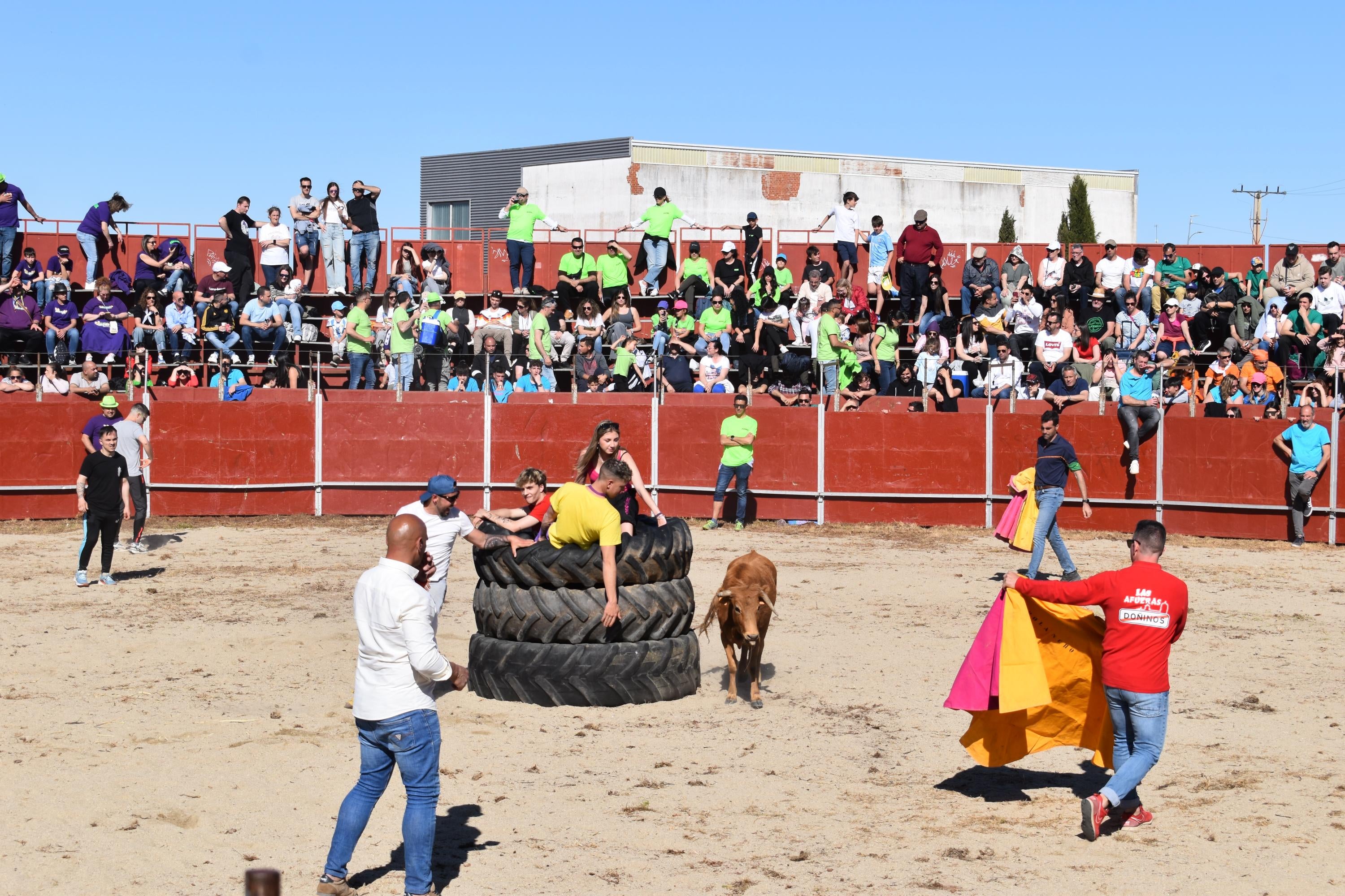 Las vaquillas y el encierro infantil con minibueyes, citas de éxito en las fiestas de Doñinos
