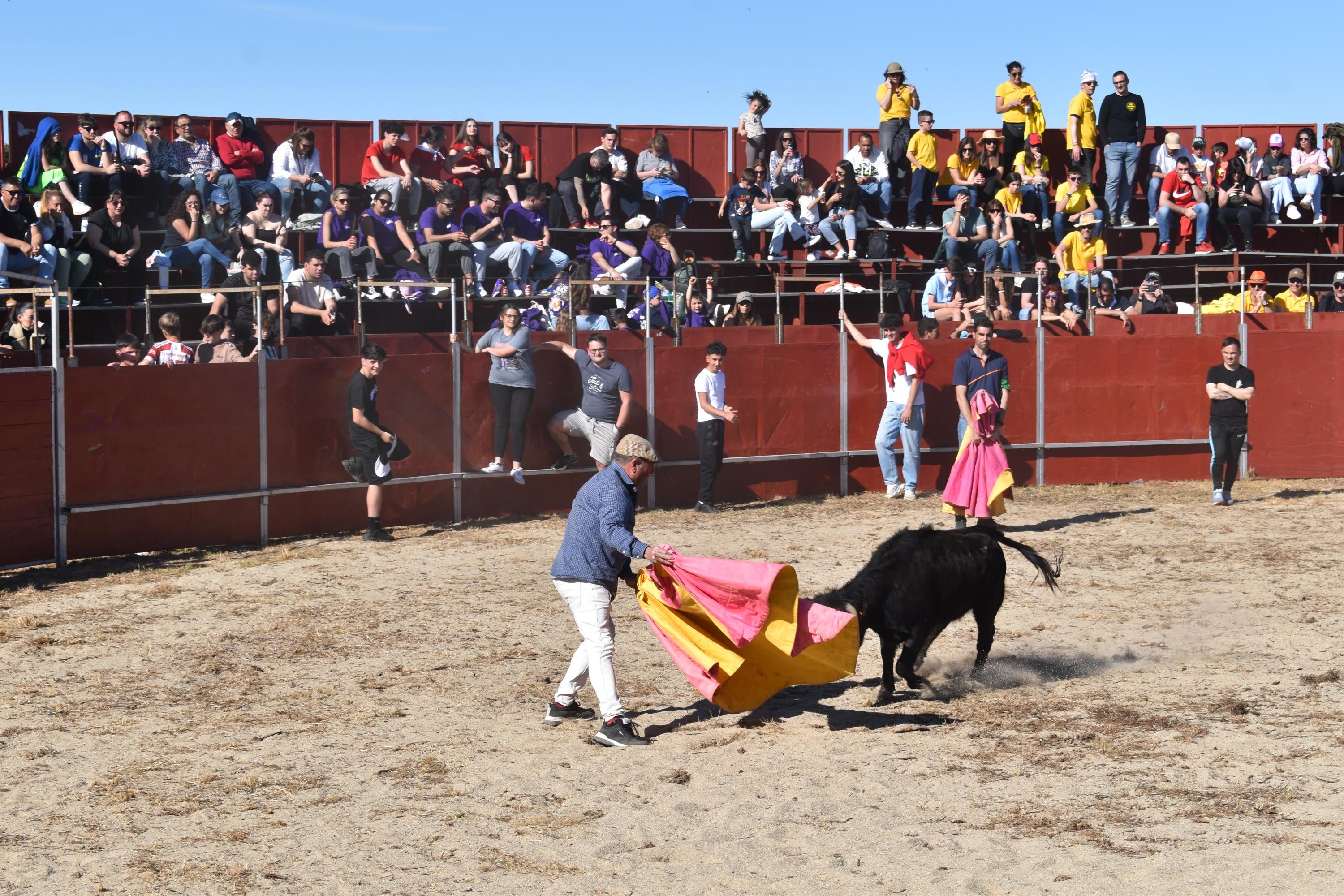 Las vaquillas y el encierro infantil con minibueyes, citas de éxito en las fiestas de Doñinos