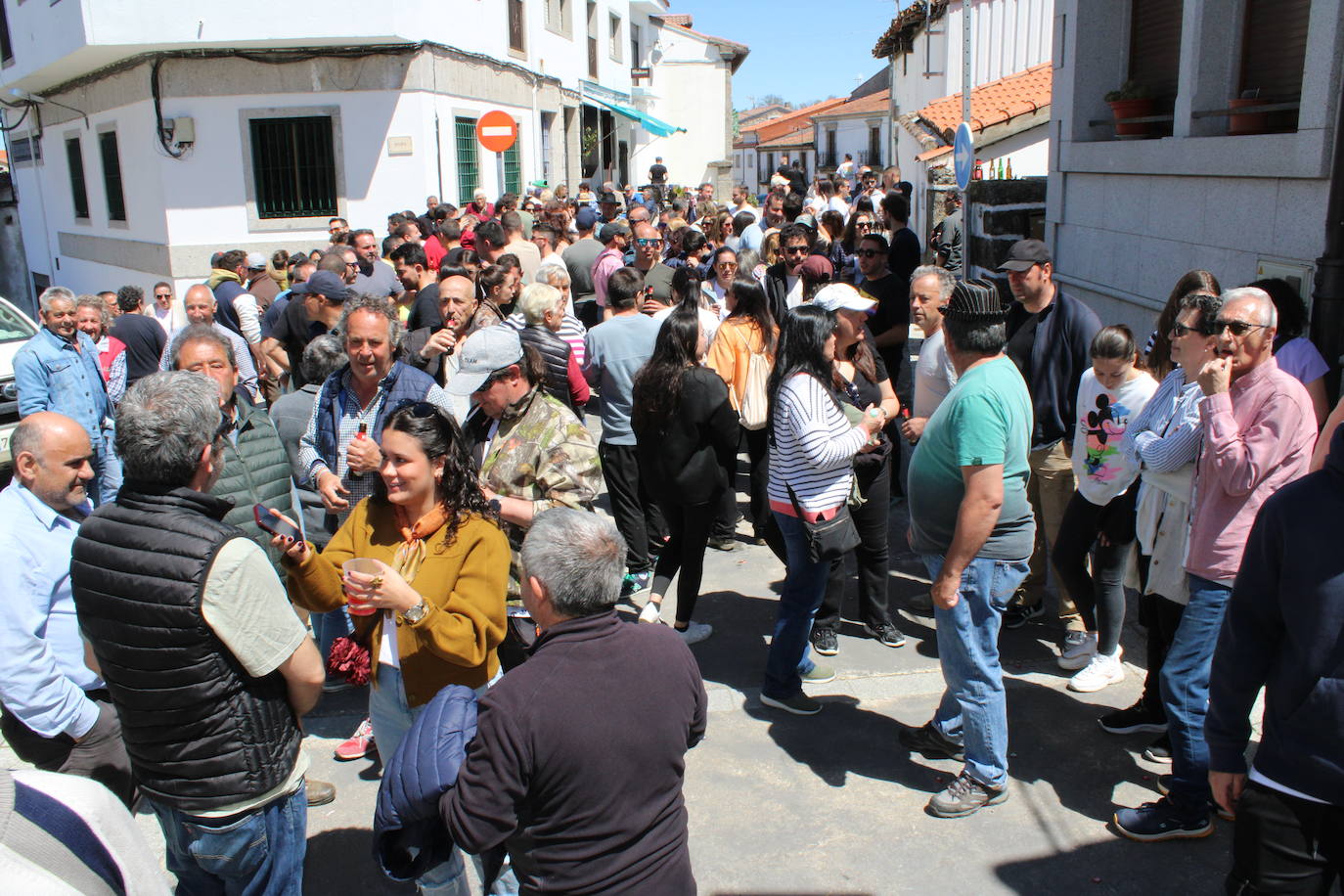 La picota de los quintos luce ya en Los Santos para recibir a la Virgen del Gozo