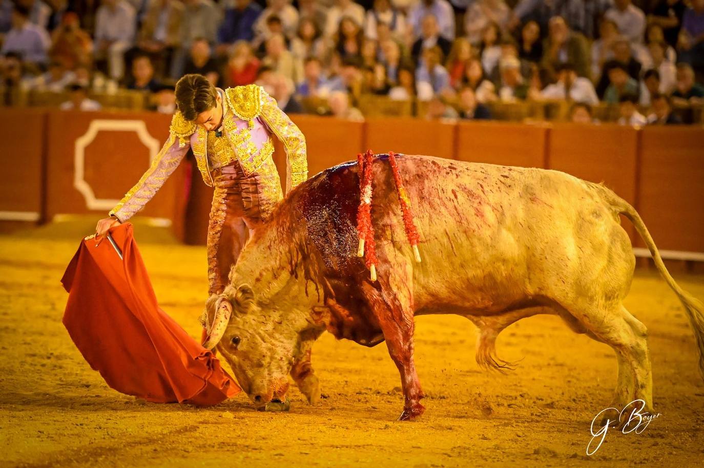 Las mejores imágenes de Marco Pérez en La Maestranza