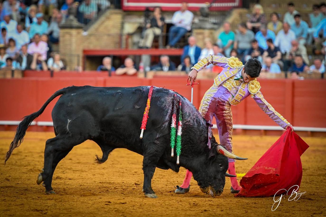 Las mejores imágenes de Marco Pérez en La Maestranza