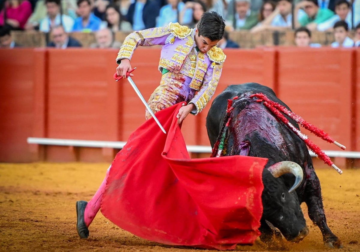 Las mejores imágenes de Marco Pérez en La Maestranza