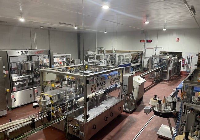 Líneas de envasado del sector retail de Maes Honey.
