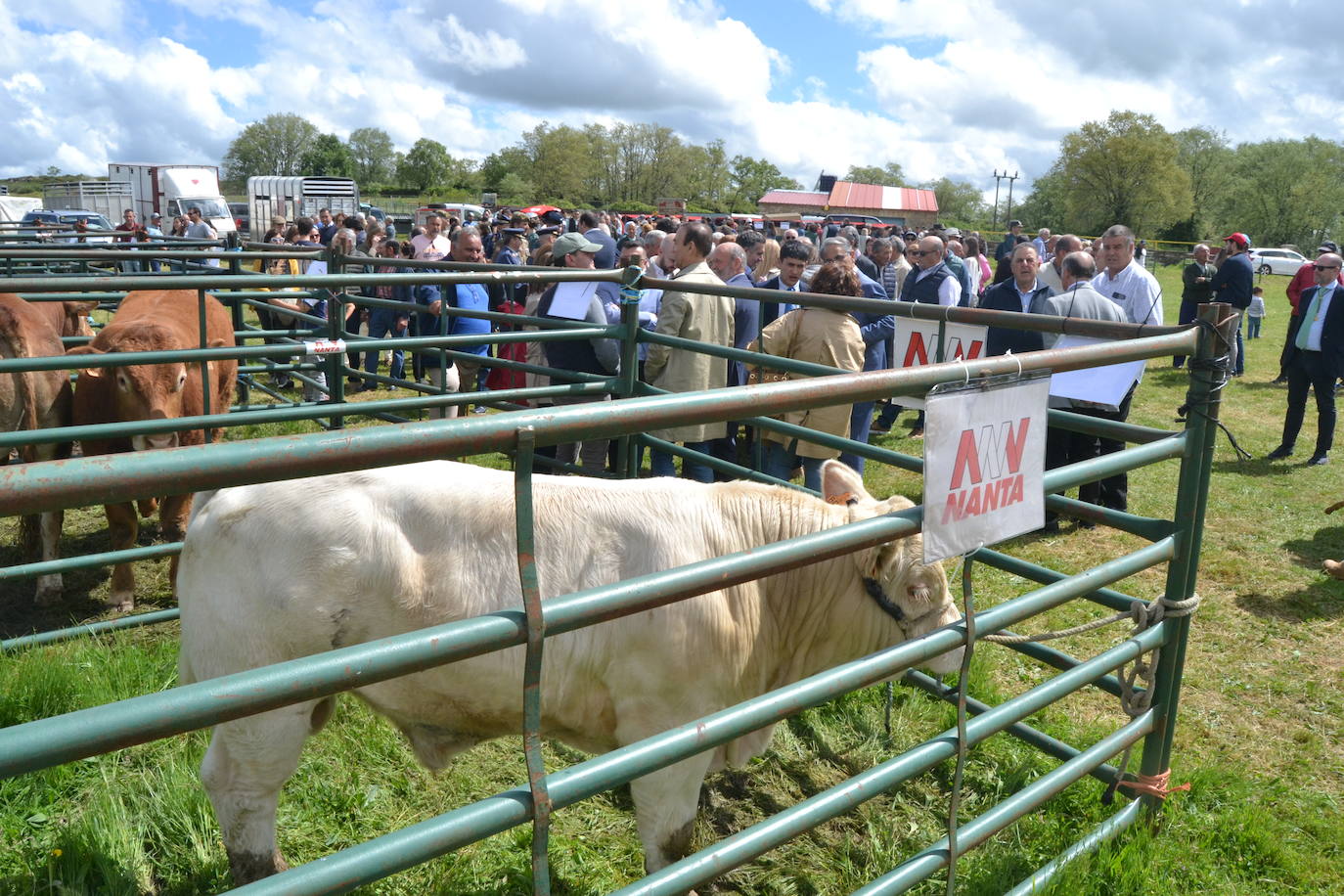 143 años de vida de la Feria de San Felipe en Barruecopardo