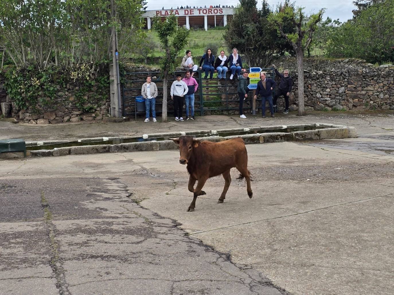 Fervor en el día central de la Santa Cruz de Saelices el Chico