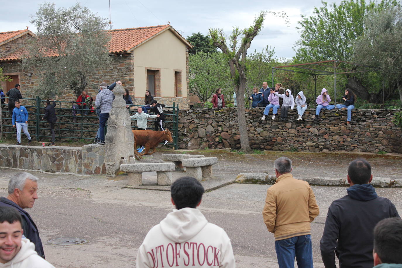 Fervor en el día central de la Santa Cruz de Saelices el Chico