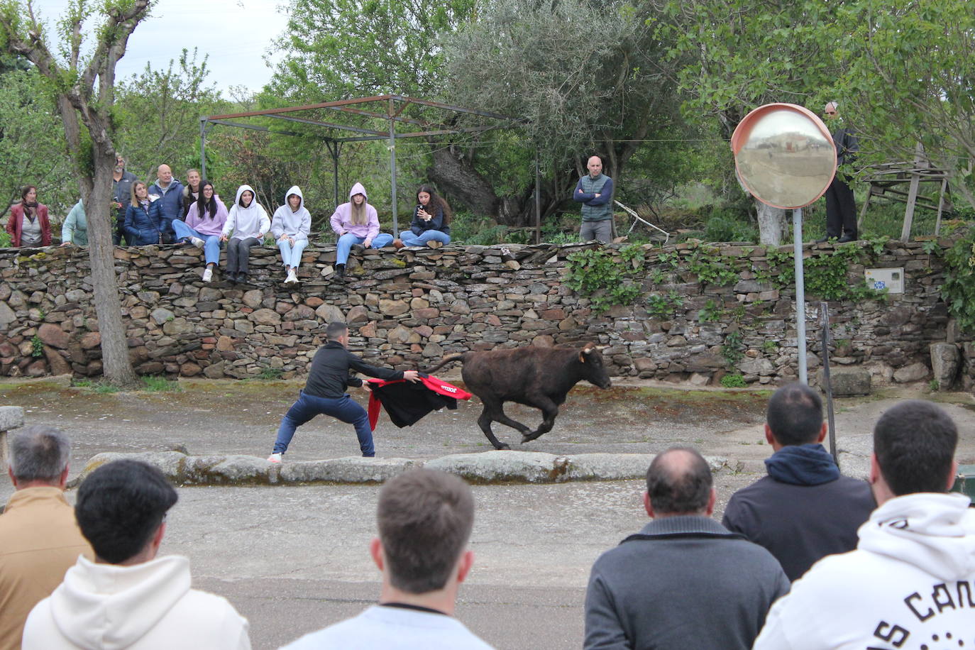 Fervor en el día central de la Santa Cruz de Saelices el Chico