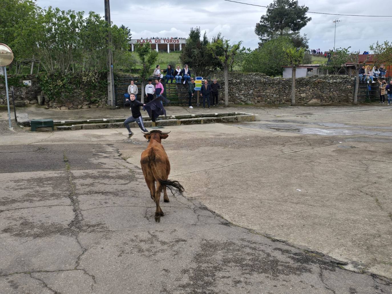 Fervor en el día central de la Santa Cruz de Saelices el Chico