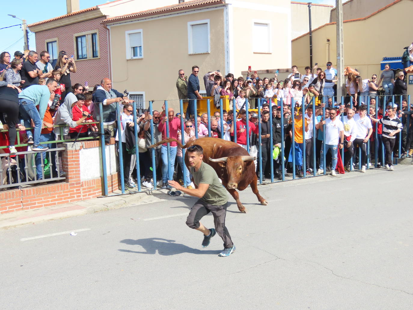 Apogeo taurino en Cantalapiedra