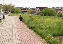 Maleza en las zonas verdes de Huerta Otea.