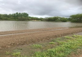 La tierra de labor en Encinas de Abajo inundada, en la que apenas se aprecian unos surcos sin estar cubiertos por el agua.