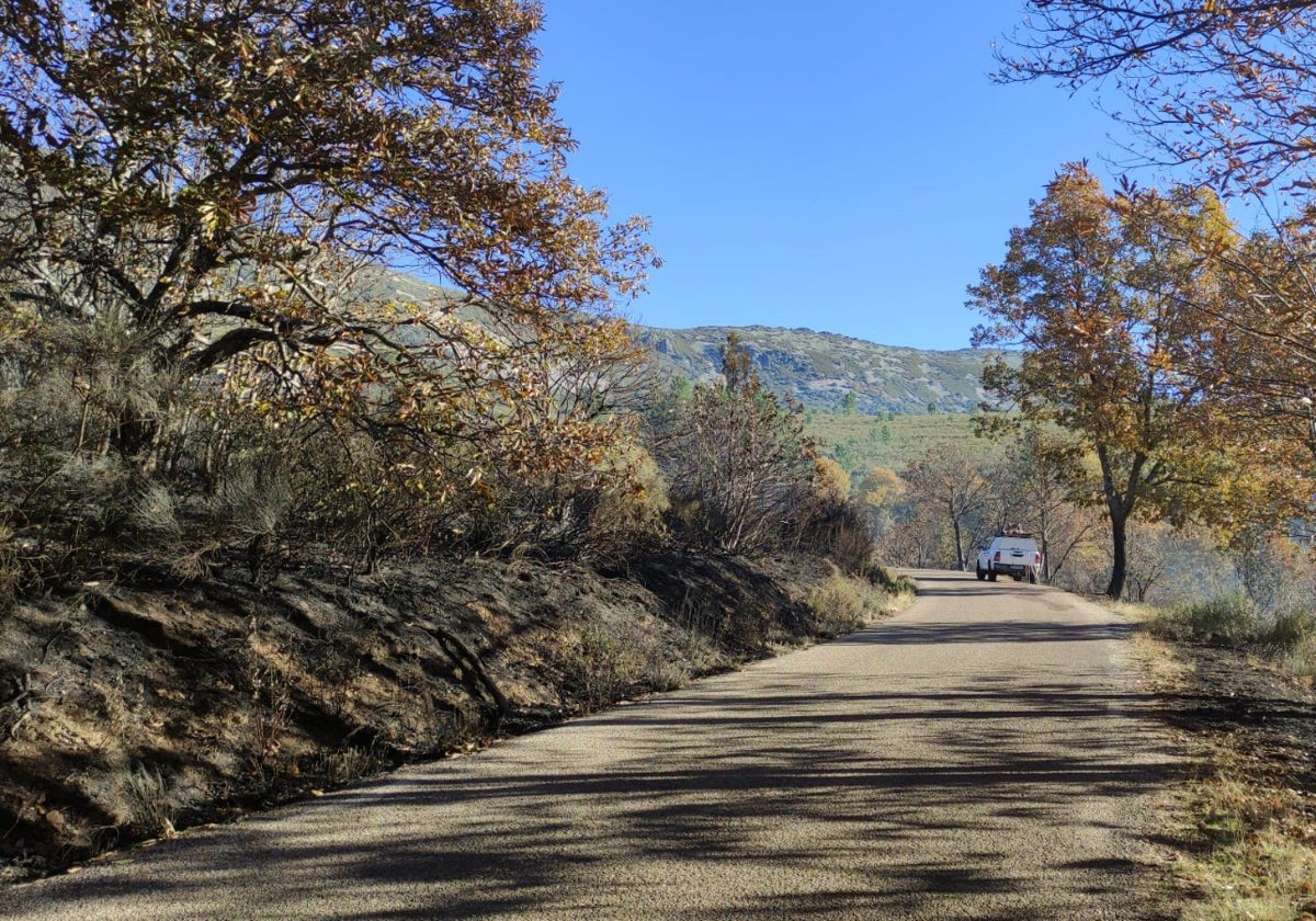 Elegidas las tres primeras carreteras de Salamanca en las que se harán obras de mejora