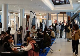Empresas y demandantes de empleo en la III Feria de Empleo en el CC El Tormes.