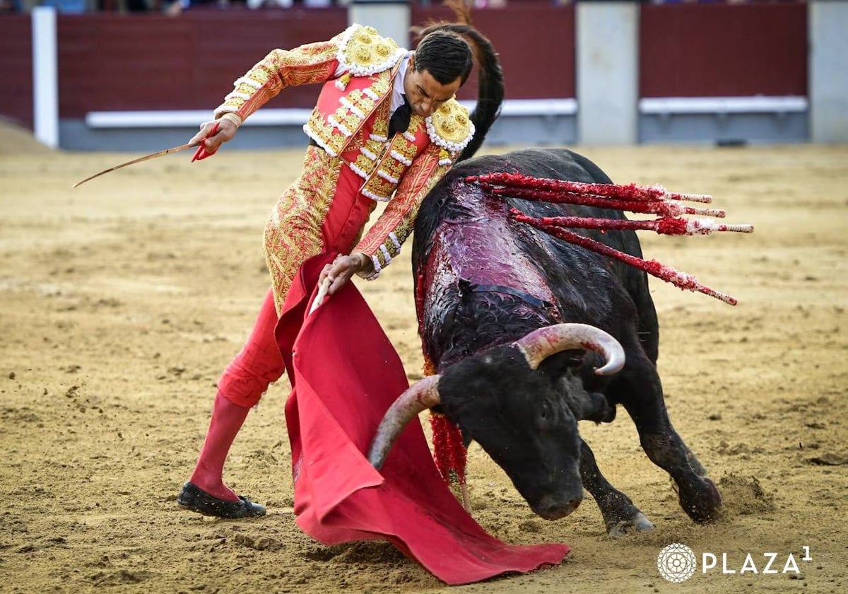 Respeto en el ruedo de Las Ventas