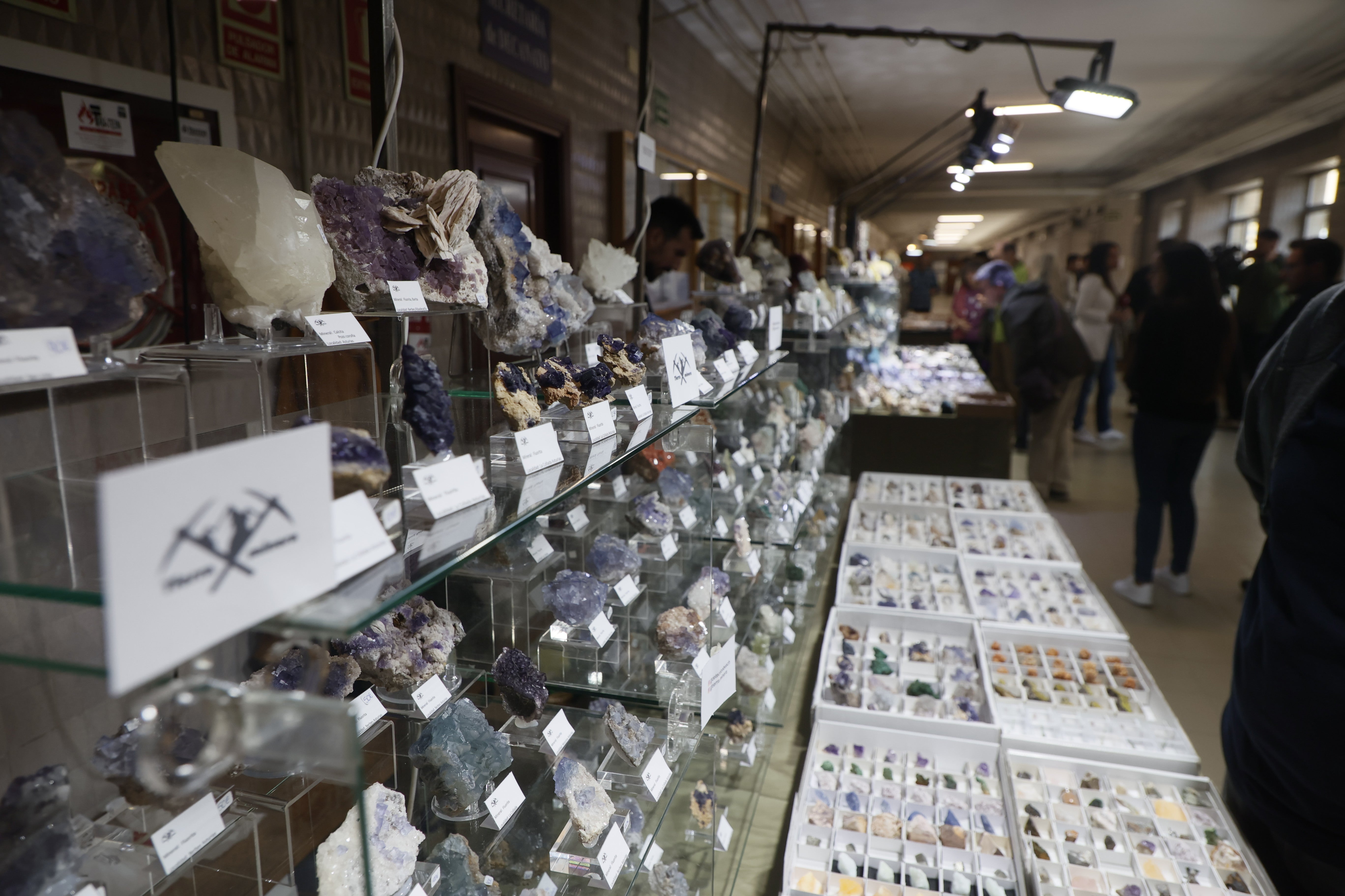 Feria de los Minerales de la USAL: &quot;Ahora miro el mundo con unos ojos muy distintos&quot;