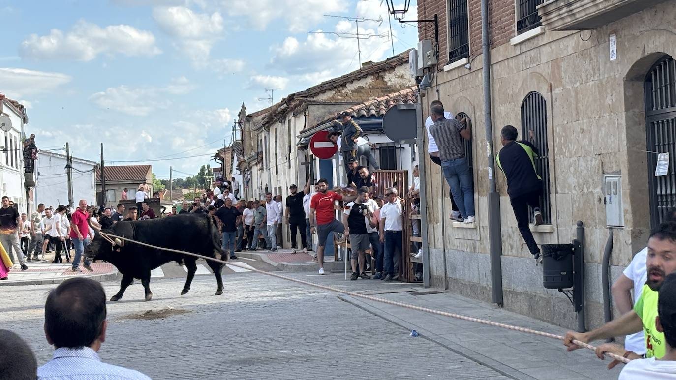 Fiesta de bravura en Cantalpino