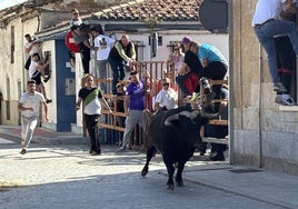Festejo taurino por las calles de Cantalpino