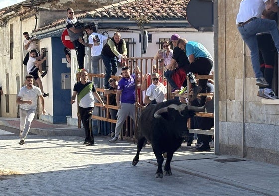 Festejo taurino por las calles de Cantalpino