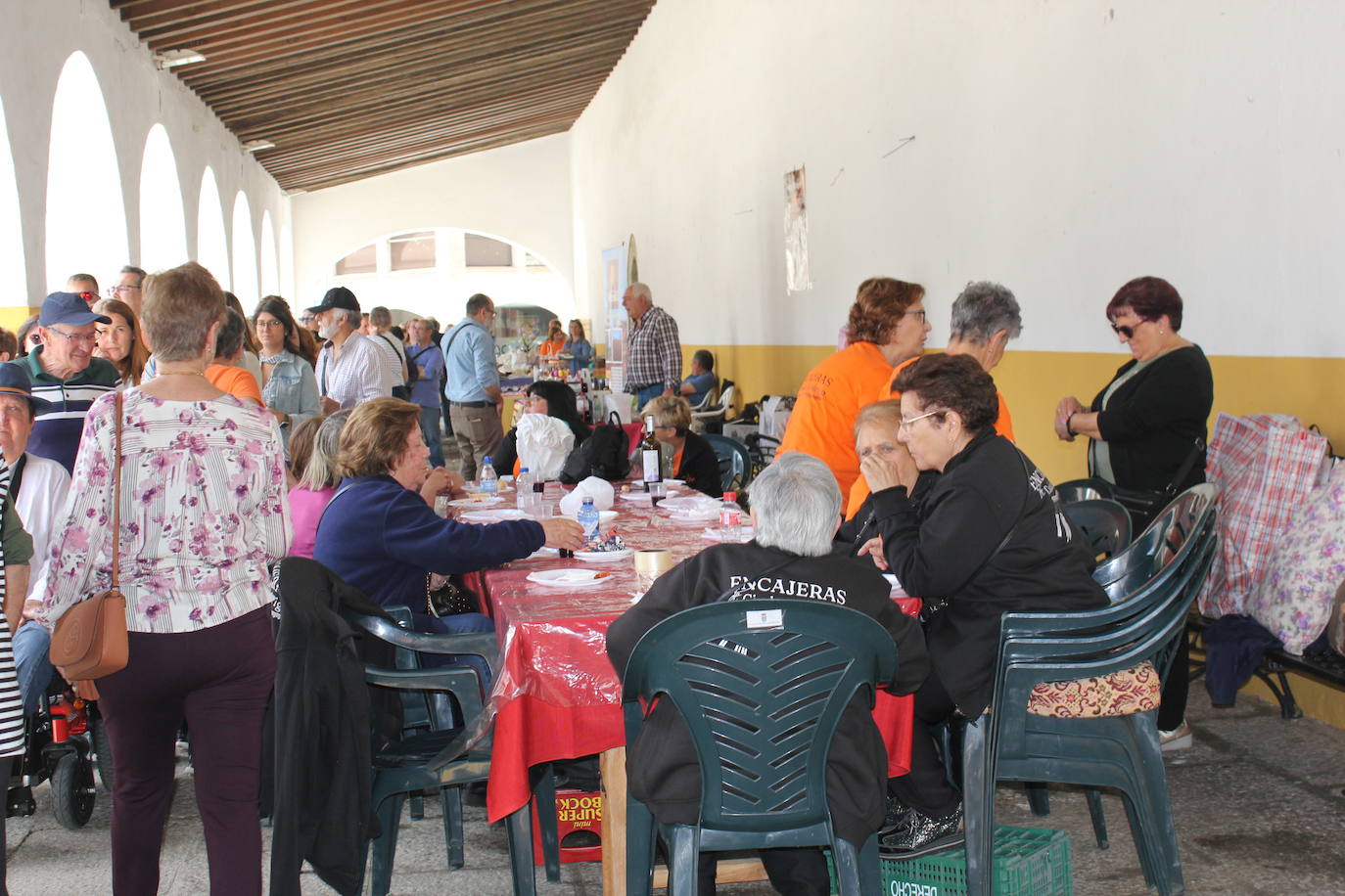 Ciudad Rodrigo se viste de sabor local y ganadería en la IV Feria del Farinato