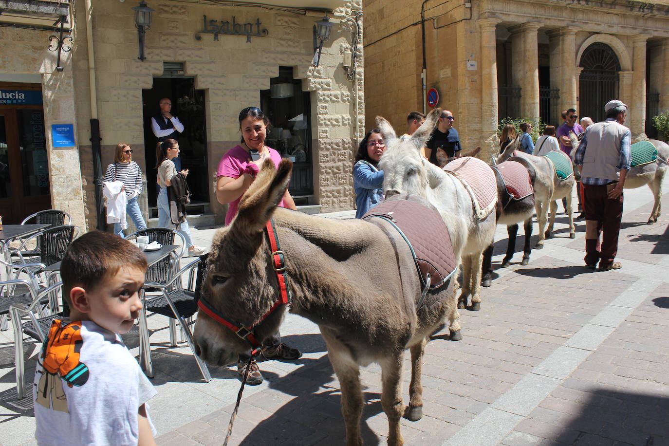 Ciudad Rodrigo se viste de sabor local y ganadería en la IV Feria del Farinato